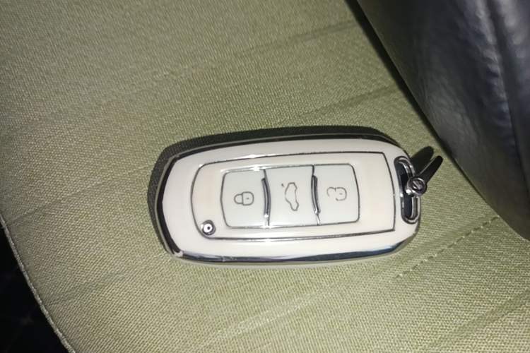 Used Geely Galaxy Panda 2024 Panda Mini 200km Endurance Bear Vehicle Key