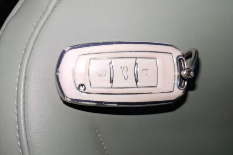 Used Geely Galaxy Panda 2024 200km Panda Rider Vehicle Key