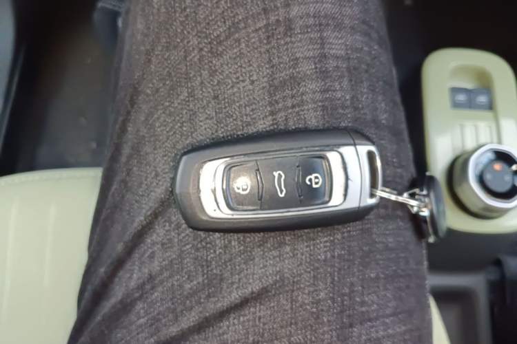 Used Geely Galaxy Panda 2024 Panda Mini 200km Endurance Bear Vehicle Key