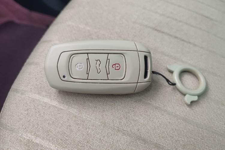 Used Geely Galaxy Panda 2024 Panda Mini 200km Endurance Bear Vehicle Key