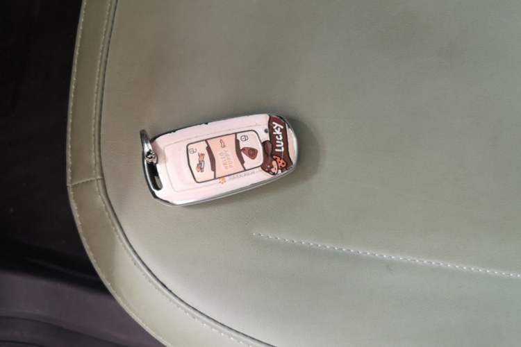 Used Geely Galaxy Panda 2024 200km Panda Rider Vehicle Key