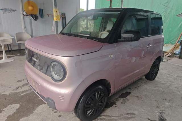 Ojetý Geely Galaxy Panda 2024 Panda Mini 200km Endurance Bear