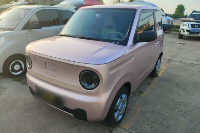 Used Geely Galaxy Panda 2024 Panda Mini 200km Endurance Bear