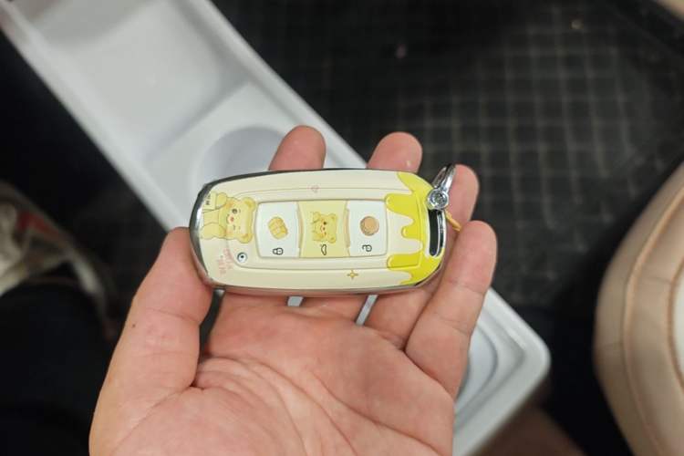Used Geely Galaxy Panda 2024 Panda Mini 200km Endurance Bear Interior 1