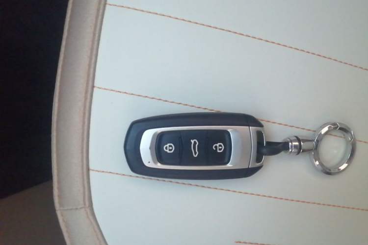 Used Geely Galaxy Panda 2024 Panda Mini 200km Endurance Bear Interior 1