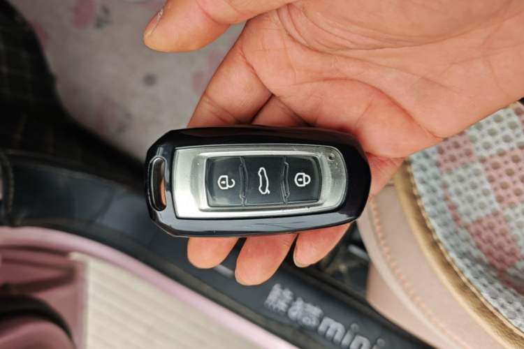 Used Geely Galaxy Panda 2024 Panda Mini 200km Endurance Bear Interior 1