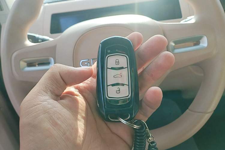 Used Geely Galaxy Panda 2024 Panda Mini 200km Endurance Bear Interior 1