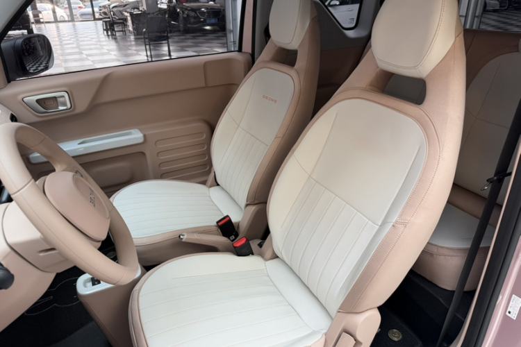 Used Geely Galaxy Panda 2024 Panda Mini 200km Endurance Bear Interior 4