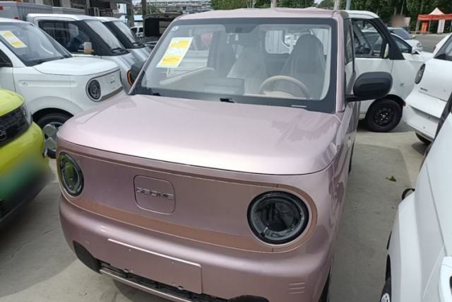 Used Geely Galaxy Panda 2024 Panda Mini 200km Endurance Bear