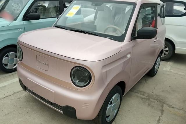 Used Geely Galaxy Panda 2024 Panda Mini 200km Endurance Bear