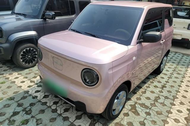Used Geely Galaxy Panda 2024 Panda Mini 200km Endurance Bear