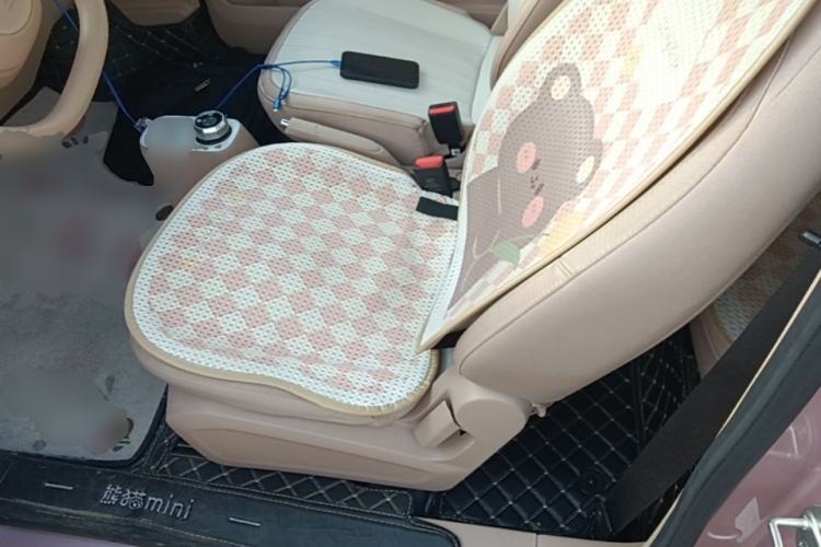 Used Geely Galaxy Panda 2024 Panda Mini 200km Endurance Bear Left Front Seat