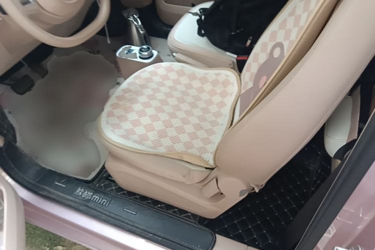 Used Geely Galaxy Panda 2024 Panda Mini 200km Endurance Bear Left Front Seat