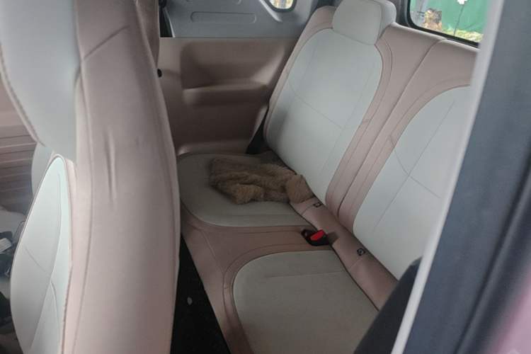 Used Geely Galaxy Panda 2024 Panda Mini 200km Endurance Bear Left Rear Seat