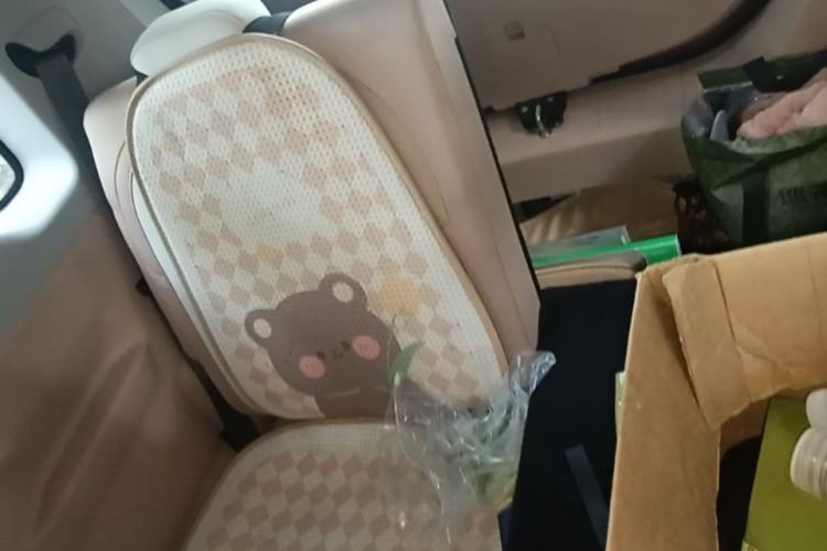 Used Geely Galaxy Panda 2024 Panda Mini 200km Endurance Bear Left Rear Seat