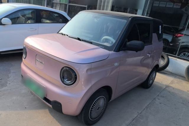 Used Geely Galaxy Panda 2024 Panda Mini 200km Endurance Bear