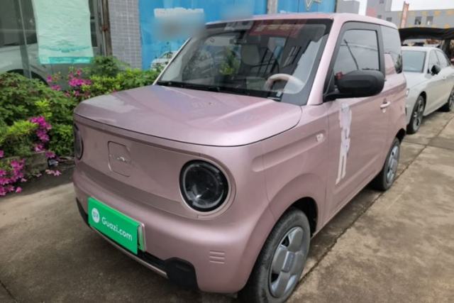 Used Geely Galaxy Panda 2024 Panda Mini 200km Endurance Bear