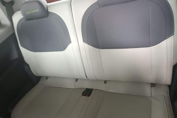 Used Geely Galaxy Panda 2024 200km Panda Rider Left Rear Seat
