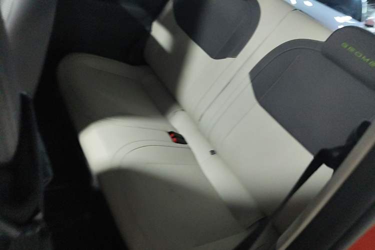 Used Geely Galaxy Panda 2024 200km Panda Rider Left Rear Seat