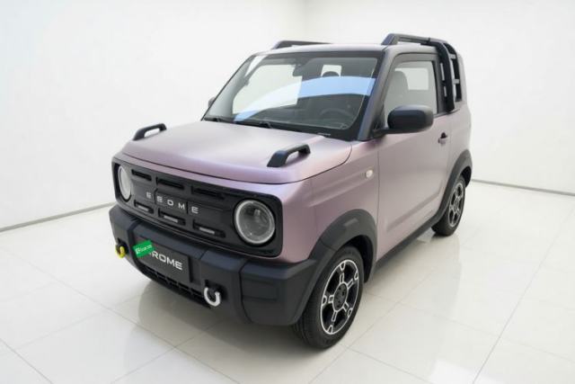 Geely Galaxy Panda 2024 200km Panda Rider usado