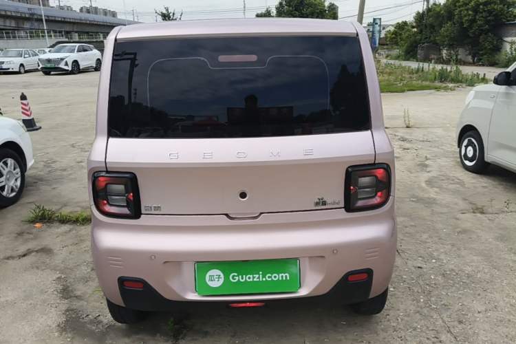 Used Geely Galaxy Panda 2024 Panda Mini 200km Endurance Bear Rear