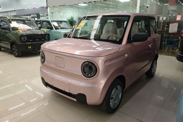 Used Geely Galaxy Panda 2024 Panda Mini 200km Endurance Bear