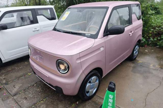 Used Geely Galaxy Panda 2024 Panda Mini 200km Endurance Bear