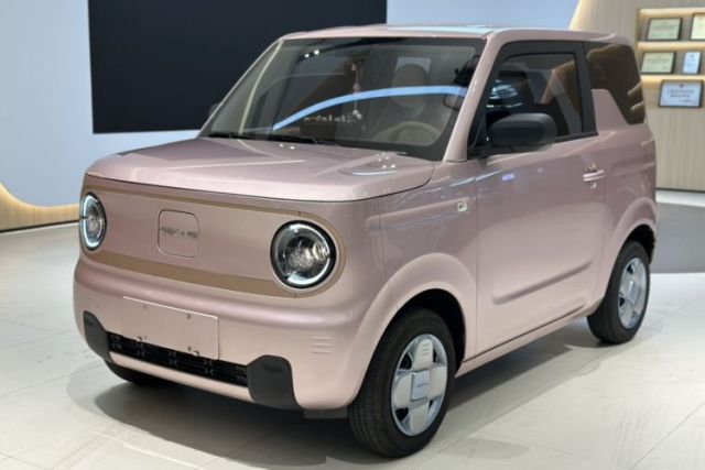 Used Geely Galaxy Panda 2024 Panda Mini 200km Endurance Bear
