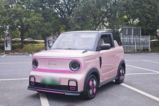 Used Geely Galaxy Panda 2024 200km Panda Kart