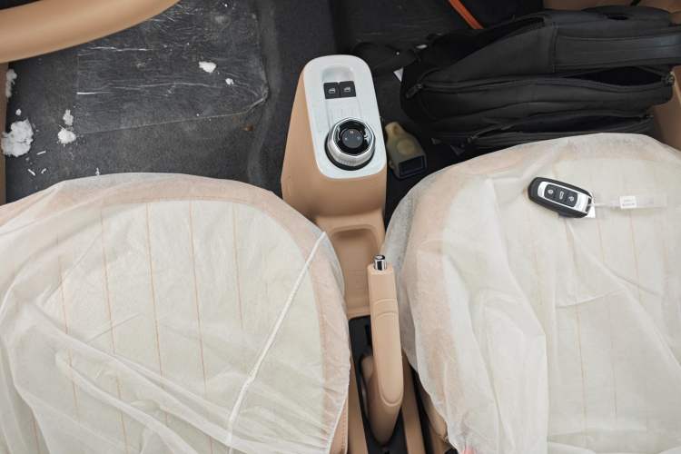 Used Geely Galaxy Panda 2024 Panda Mini 200km Endurance Bear Gear Lever