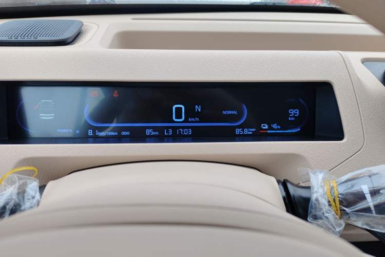 Used Geely Galaxy Panda 2024 Panda Mini 200km Endurance Bear Odometer Close Up