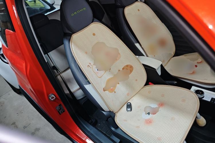Used Geely Galaxy Panda 2024 200km Panda Rider Right Front Seat