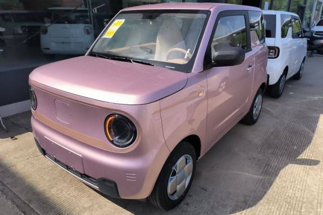 Used Geely Galaxy Panda 2024 Panda Mini 200km Endurance Bear