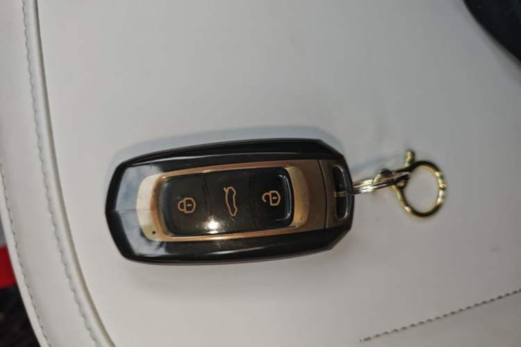 Used Geely Galaxy Panda 2024 200km Panda Rider Vehicle Key
