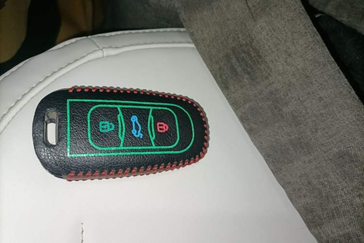 Used Geely Galaxy Panda 2024 Panda Mini 200km Endurance Bear Vehicle Key