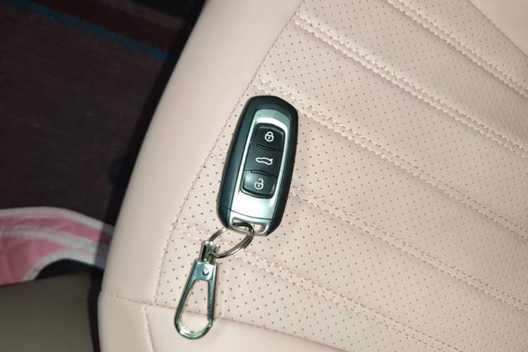 Used Geely Galaxy Panda 2024 Panda Mini 200km Endurance Bear Vehicle Key