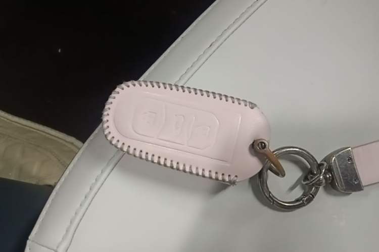 Used Geely Galaxy Panda 2024 200km Panda Rider Vehicle Key