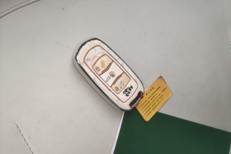 Used Geely Galaxy Panda 2024 200km Panda Rider Vehicle Key