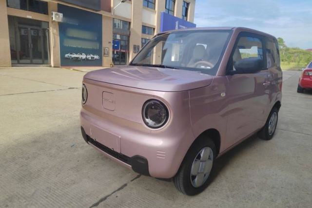 Used Geely Galaxy Panda 2024 Panda Mini 200km Endurance Bear