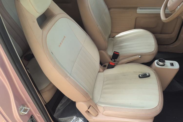 Used Geely Galaxy Panda 2024 200km Panda Kart Right Front Seat