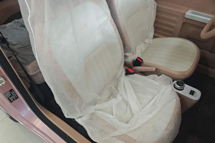 Used Geely Galaxy Panda 2024 Panda Mini 200km Endurance Bear Right Front Seat
