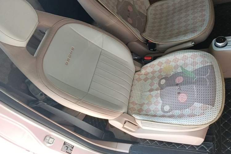 Used Geely Galaxy Panda 2024 Panda Mini 200km Endurance Bear Right Front Seat