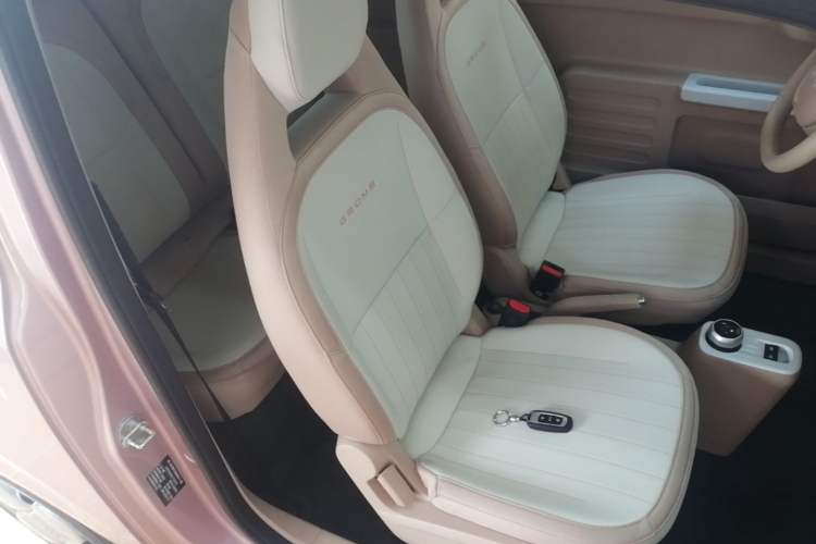 Used Geely Galaxy Panda 2024 Panda Mini 200km Endurance Bear Right Front Seat