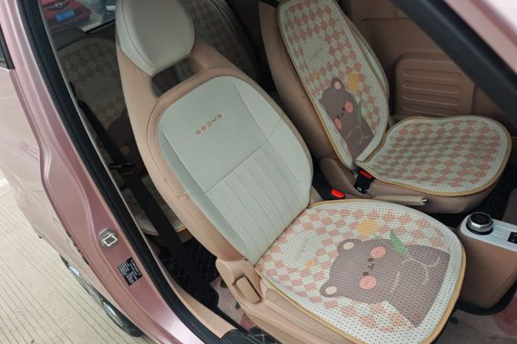 Used Geely Galaxy Panda 2024 Panda Mini 200km Endurance Bear Right Front Seat