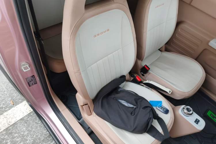 Used Geely Galaxy Panda 2024 200km Panda Kart Right Front Seat