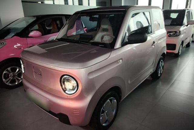 Used Geely Galaxy Panda 2024 Panda Mini 200km Endurance Bear