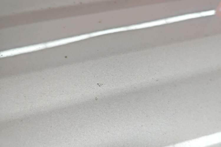 Used Geely Galaxy Panda 2024 Panda Mini 200km Endurance Bear Roof