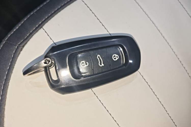 Used Geely Galaxy Panda 2024 200km Panda Kart Vehicle Key