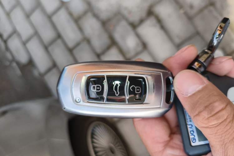Used Geely Galaxy Panda 2024 Panda Mini 200km Endurance Bear Vehicle Key