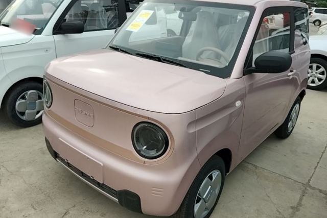 Used Geely Galaxy Panda 2024 Panda Mini 200km Endurance Bear